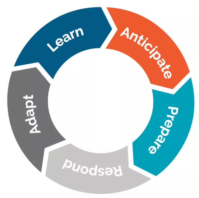 Components of resilience