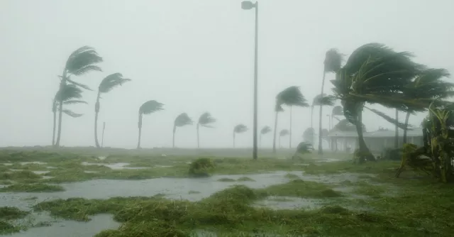 Hurricane Season 2022