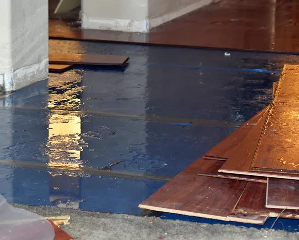flood damaged flooring and carpet