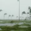 Hurricane Season 2022